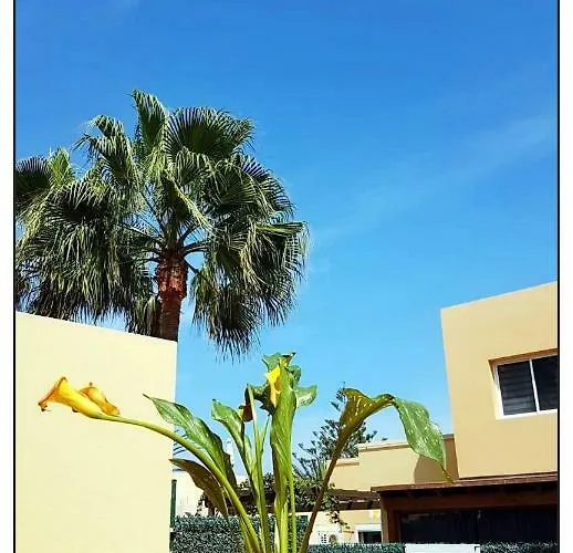 公寓 Lur De La Playa 科拉雷侯