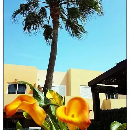 Lur De La Playa Apartamento Corralejo