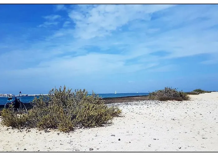 Lur De La Playa Corralejo